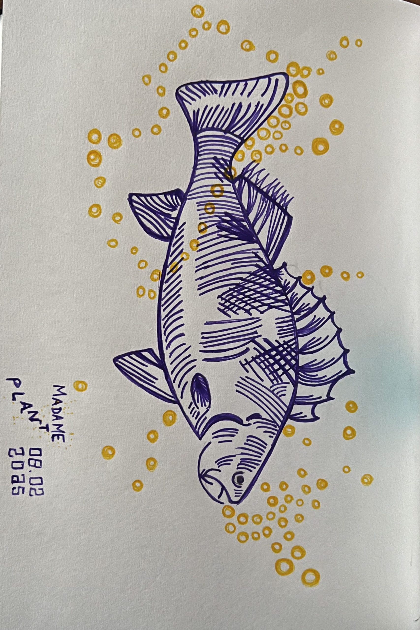 Dessins de Mouche et poissons